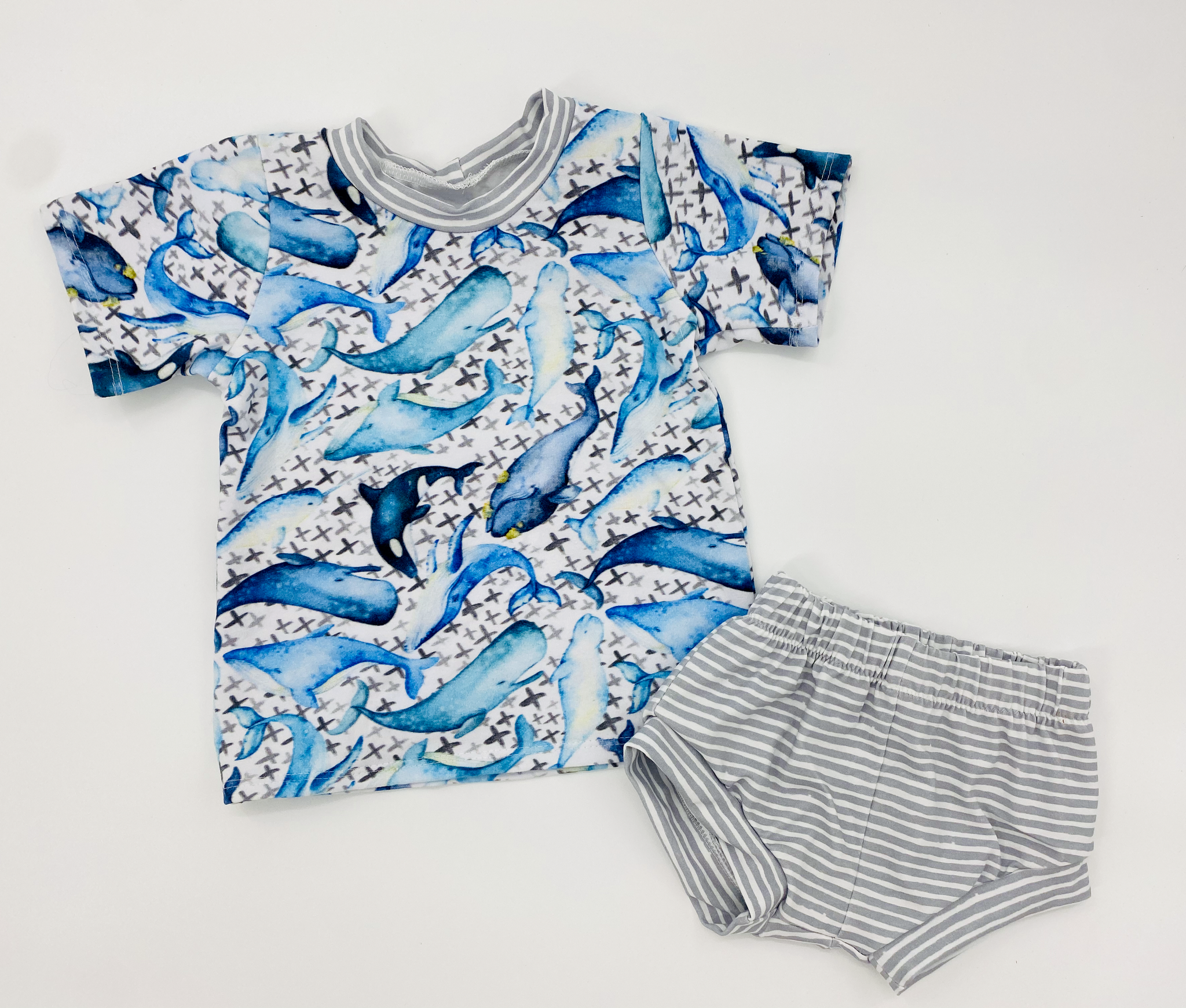 12m Whale Basic Tee and Shorties set